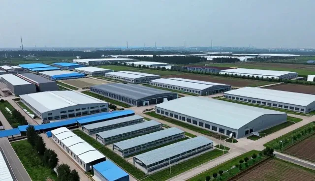 技术支持服务在不同场景下的性能表现与适用条件分析